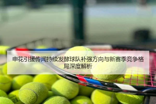 申花引援传闻持续发酵球队补强方向与新赛季竞争格局深度解析