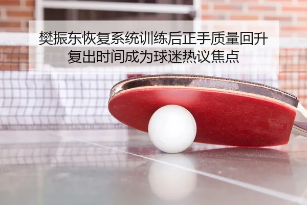 樊振东恢复系统训练后正手质量回升 复出时间成为球迷热议焦点