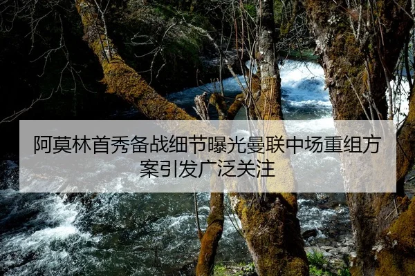 阿莫林首秀备战细节曝光曼联中场重组方案引发广泛关注