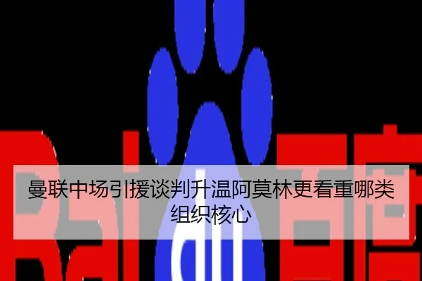 曼联中场引援谈判升温阿莫林更看重哪类组织核心