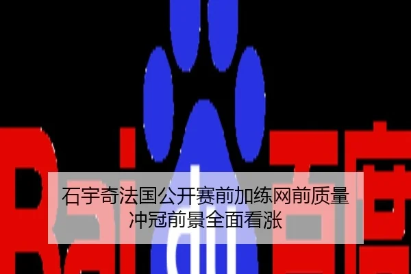 石宇奇法国公开赛前加练网前质量 冲冠前景全面看涨