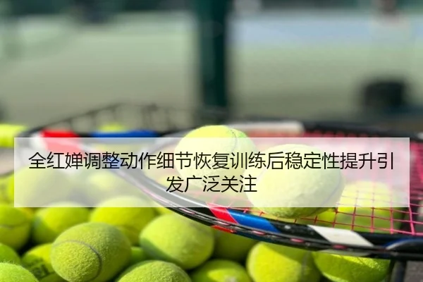 全红婵调整动作细节恢复训练后稳定性提升引发广泛关注